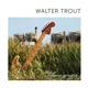 Walter Trout - Common Ground