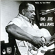 Big Joe Williams - Malvina My Sweet Woman